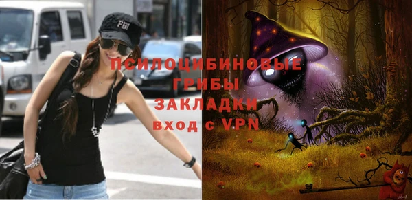 mdpv Богородицк