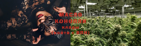 mdpv Богородицк