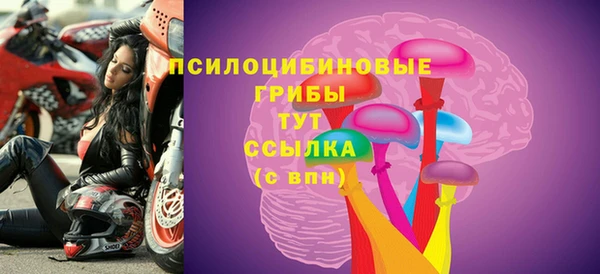 герыч Богородск